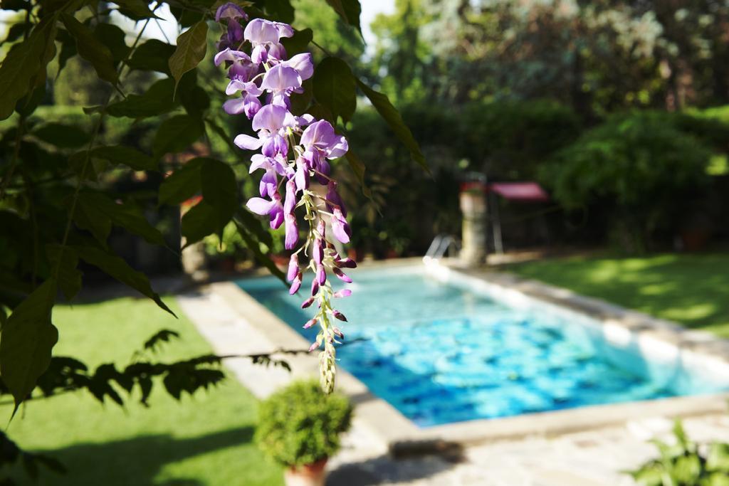 Park Palace Hotel Florence Ngoại thất bức ảnh